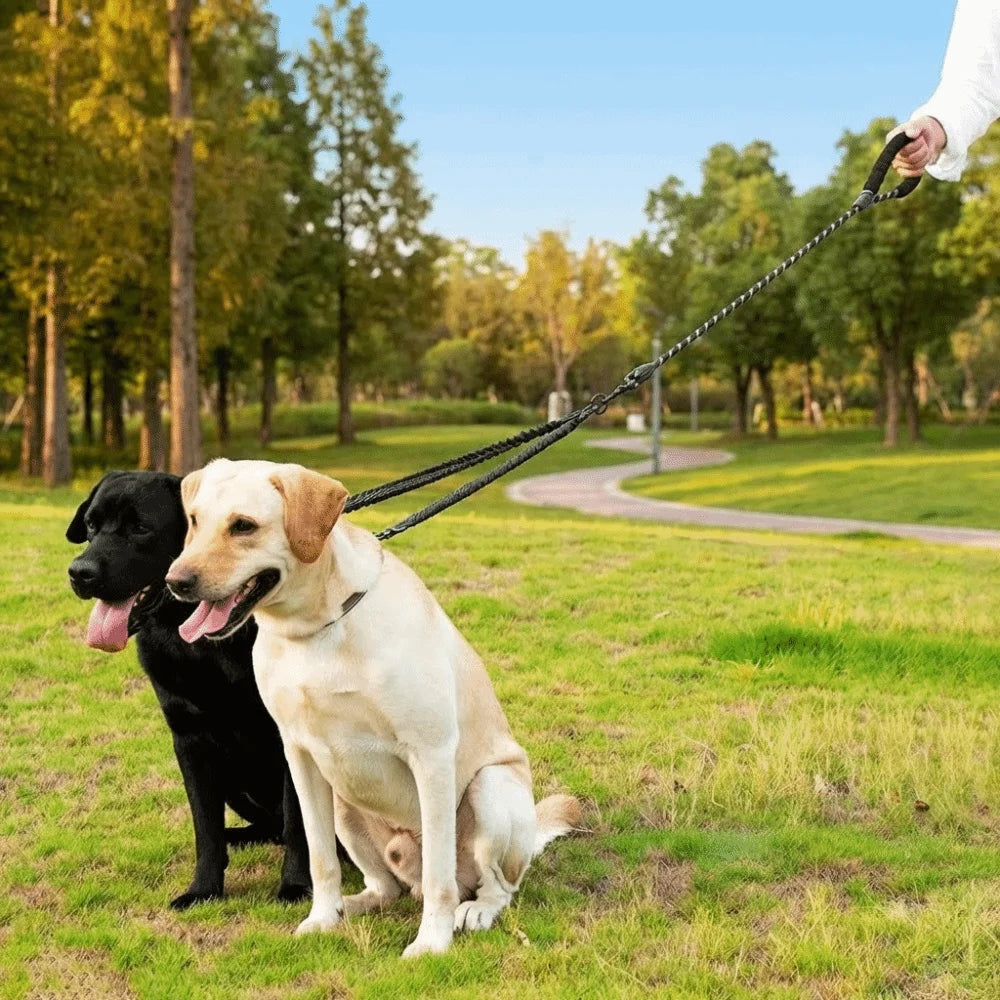 FlexiWalk™ Shock-Absorbing Double Dog Leash – Nylon, Stretchable, Anti-Winding for Comfortable Walks